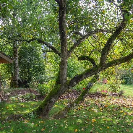 Bed and breakfast Les Perrelles Bellecombe-en-Beauges
