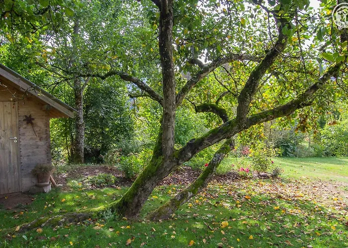 Bed & Breakfast Les Perrelles Bellecombe-en-Beauges